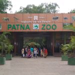 Read more about the article Zoo/Parks Tour