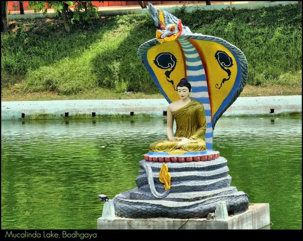 Patna Bodh Gaya Spiritual Tour - Image 6