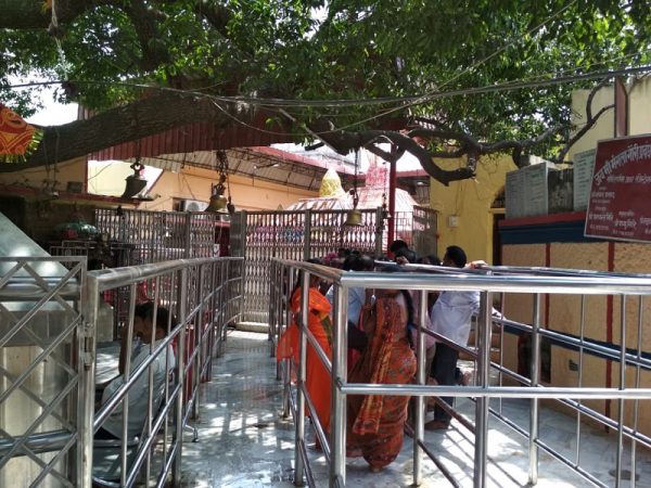 Gaya Tour - Image 4