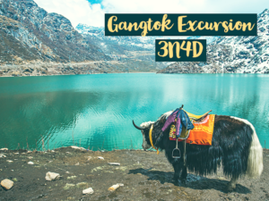 Gangtok-Tsomgo- Excursion tour