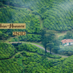 Read more about the article Exotic Munnar-Cochin Tour