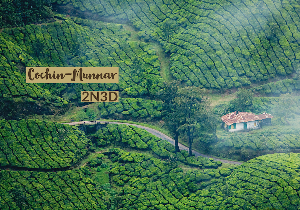 Munnar trip, package tour