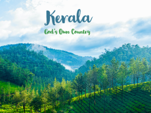 Kerala packages