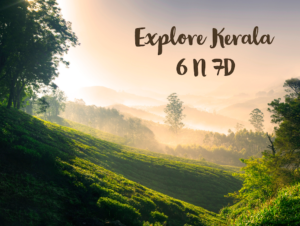 Kerala Package, Cochin, Munnar, Alleppey, Thekkady, Kovalam