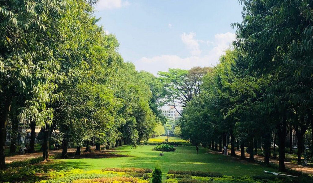 Cubbon-Park, bangalore trip for 1 day, Bangalore Tour Packages