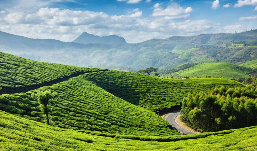 Munnar, Tourist Places in Kerala State