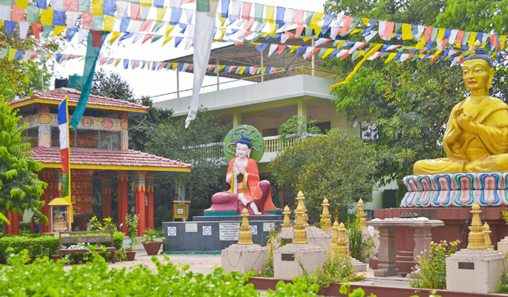 Root-Institute-for-Wisdom-Culture