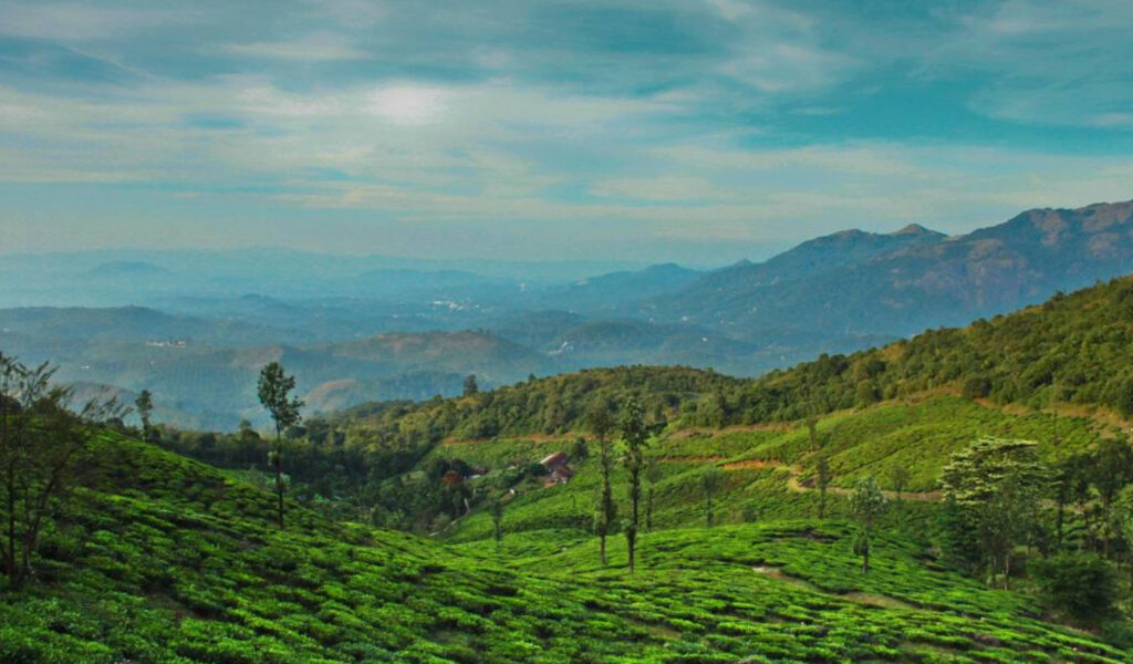 Wayanad, Tourist Places in Kerala State