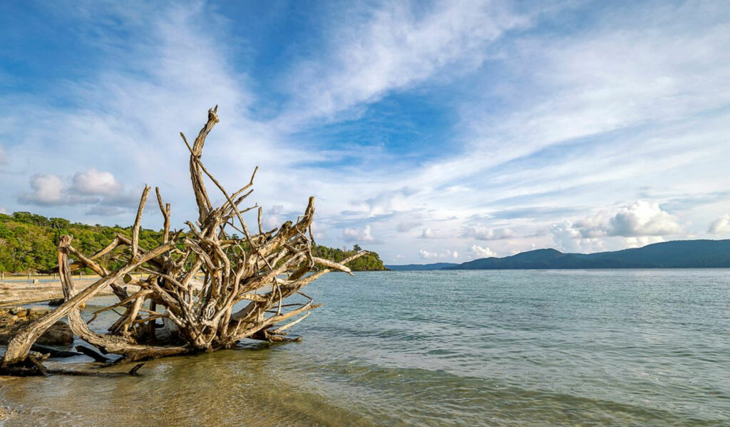Chidiya-Tapu, andaman tour packages