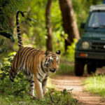 Read more about the article Nepal Package Tour: A Complete Guide to Explore the Himalayas, Culture & Adventure