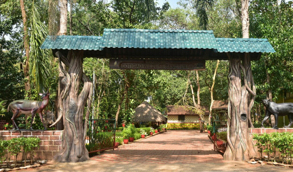 Cotigao-Wildlife-Sanctuary, south goa sightseeing places
