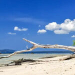 Read more about the article Your Complete Guide to Andaman Tour Packages and Top Tourist Spots