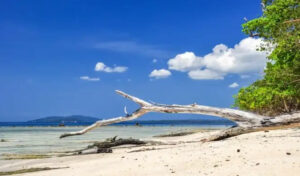 Elephant-Beach, andaman tour packages
