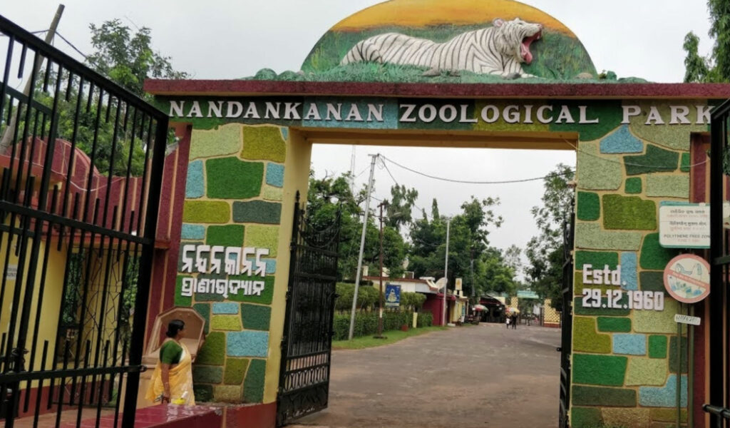 places to visit in odisha