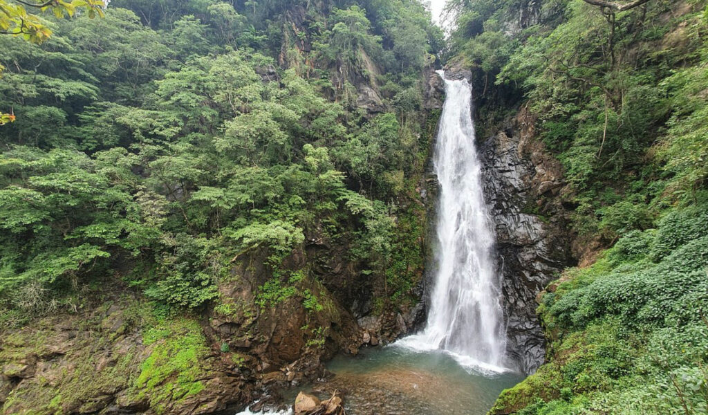 Netravali-Wildlife-Sanctuary, south goa sightseeing places