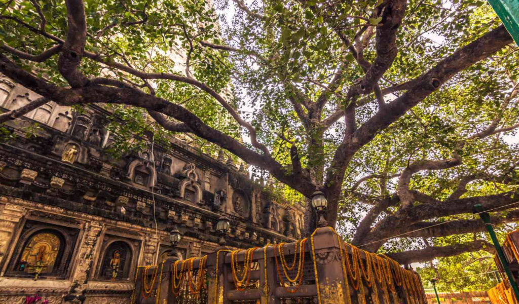 Mahabodhi Temple