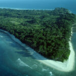 Read more about the article Neil Island, Andaman – A Serene Escape in Andaman Tour Packages